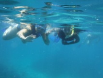 Snorkeling in Bazaruto Archipelago on Christmas
