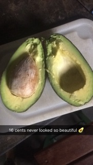 Avocado season was a great two months!