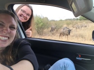 Selfie with a wildebeest and zebras!